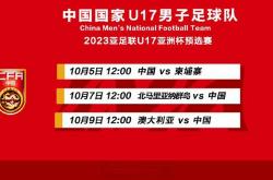 爱游戏app-国内足球新季排位赛开踢，球队实力勘测的简单介绍