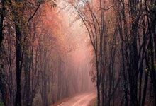 伯恩茅斯遭遇连败，士气低迷形势不妙