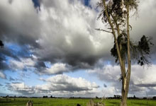 爱游戏登录入口-国米客场战平尤文图斯,暂居积分榜榜首,国米对尤文2021