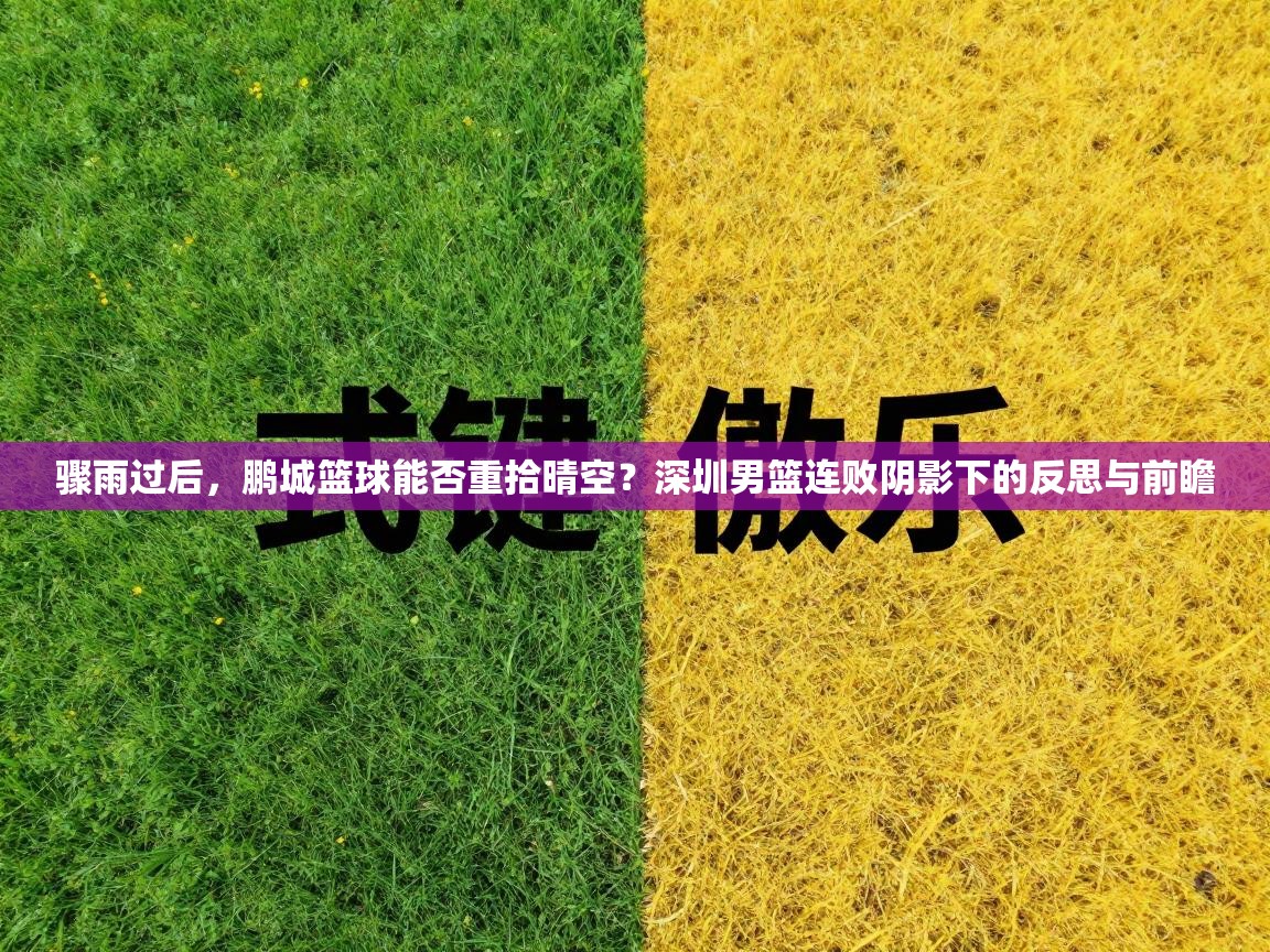骤雨过后，鹏城篮球能否重拾晴空？深圳男篮连败阴影下的反思与前瞻  第1张