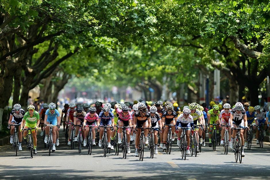 荷兰自行车队团体夺冠,速度快人一步的简单介绍 荷兰自行车队团体夺冠,速度快人一步的简单介绍